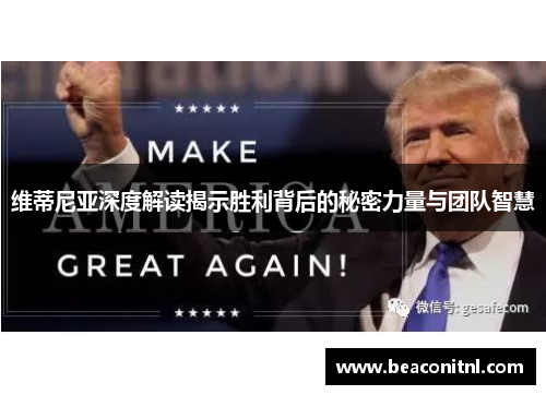 维蒂尼亚深度解读揭示胜利背后的秘密力量与团队智慧